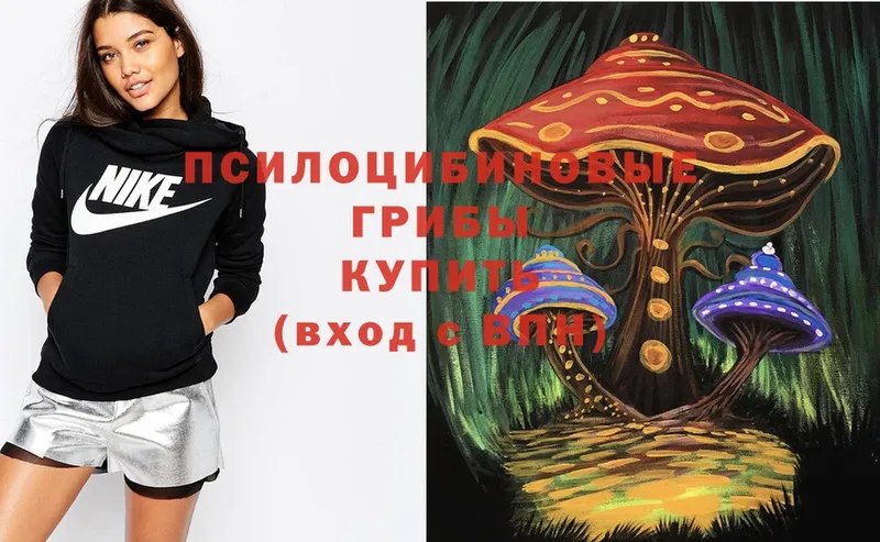 Галлюциногенные грибы Psilocybe  Балашов 